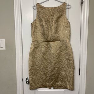 Beautiful Never worn American Living Dress-Size 14